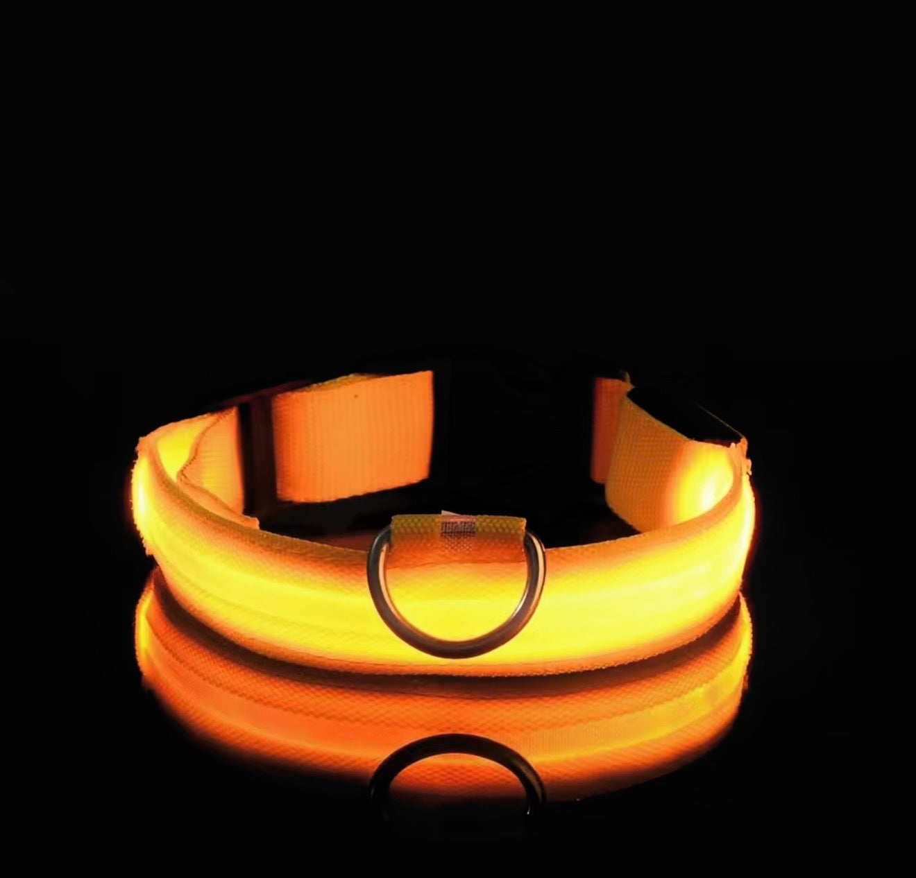 LED Dog Collar – Glow in the Dark Night Safety Collar