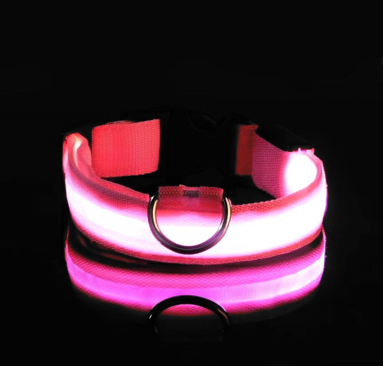LED Dog Collar – Glow in the Dark Night Safety Collar