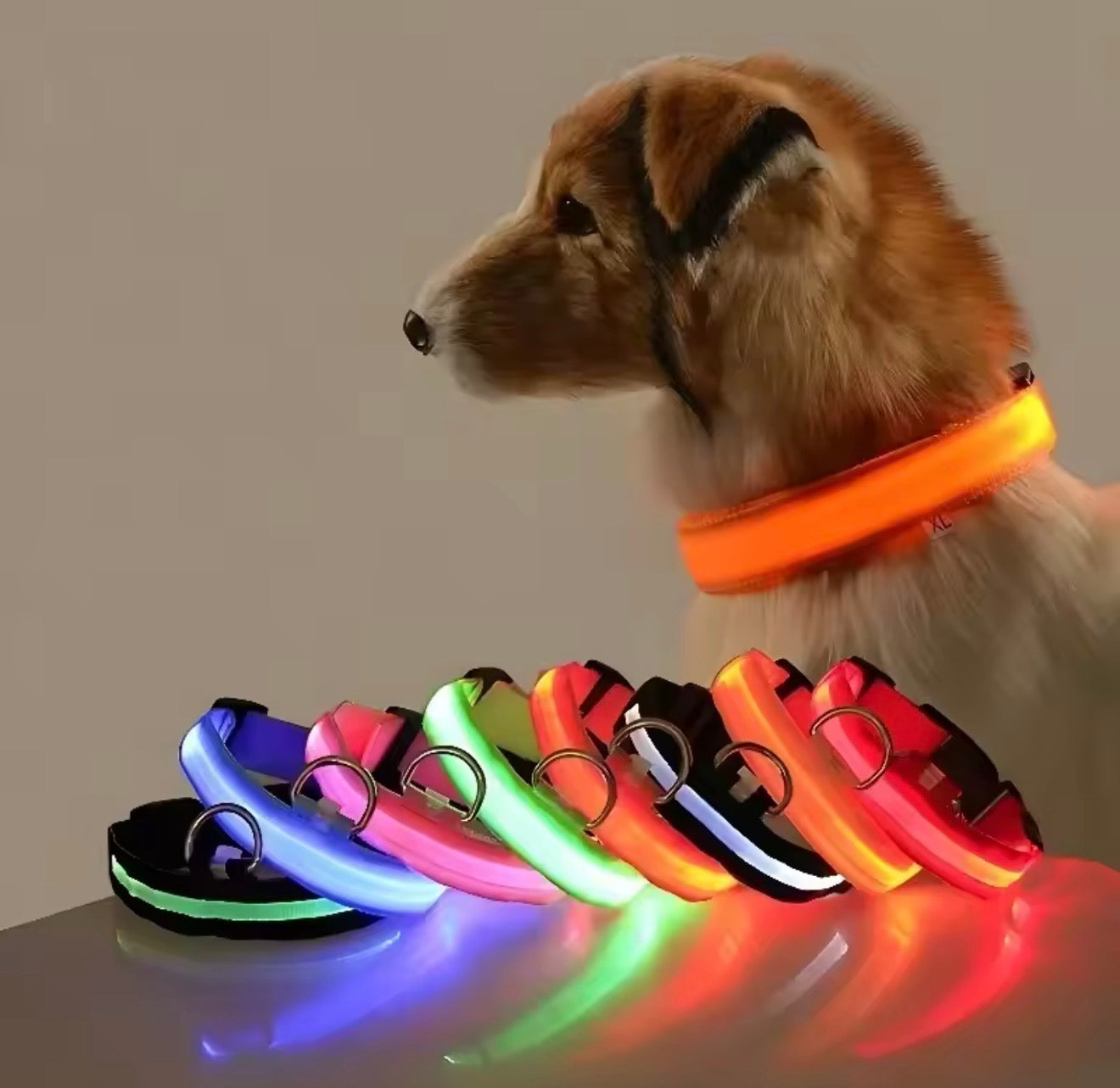 LED Dog Collar – Glow in the Dark Night Safety Collar
