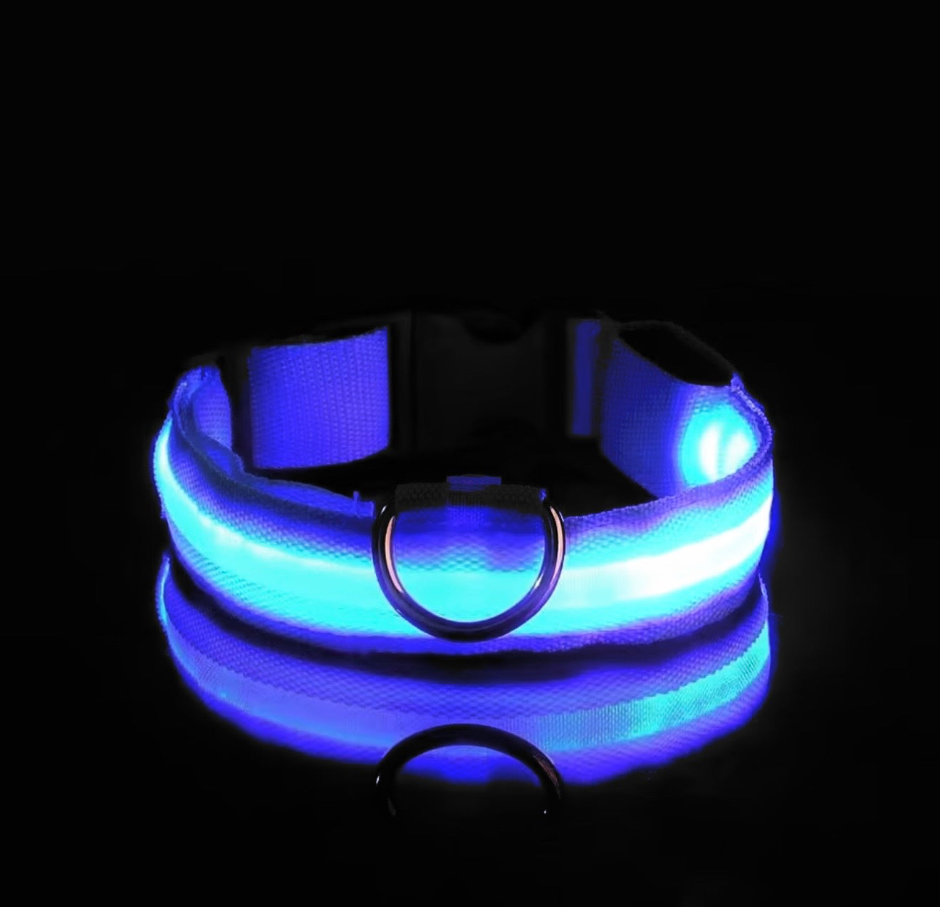 LED Dog Collar – Glow in the Dark Night Safety Collar