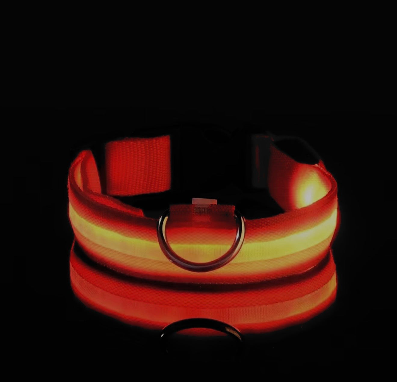 LED Dog Collar – Glow in the Dark Night Safety Collar