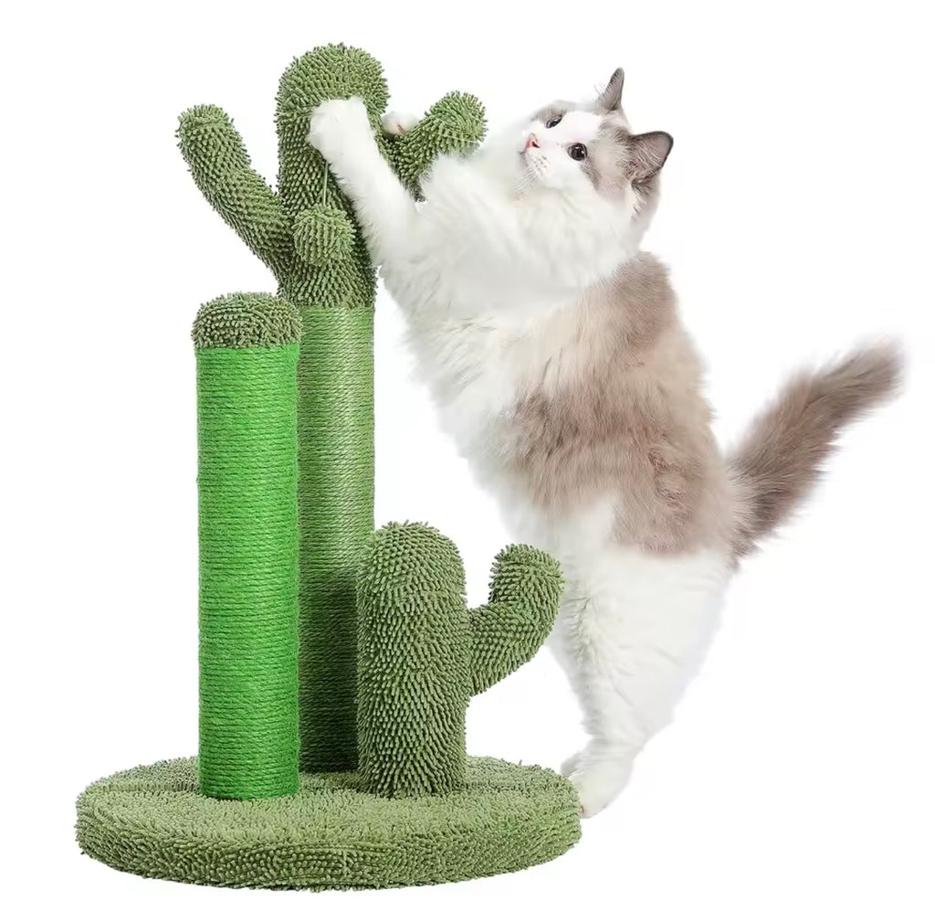 Cactus Cat Scratcher